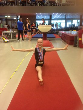 4 goud daem&#233; van driel