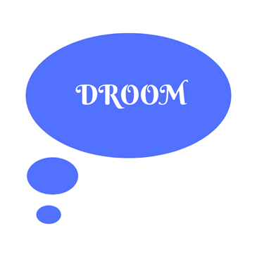 2019-01-13 droom