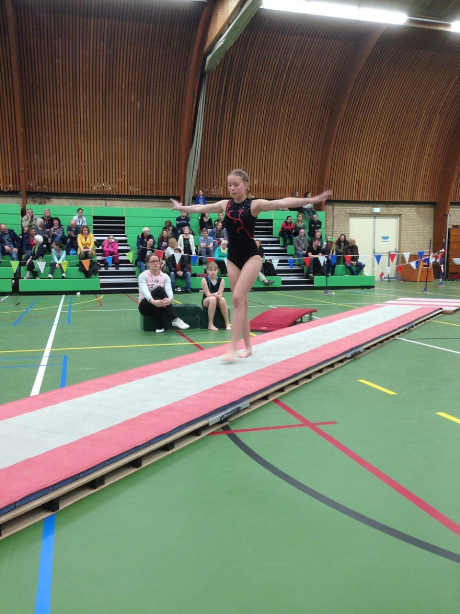 onderlinge wedstrijd 2016