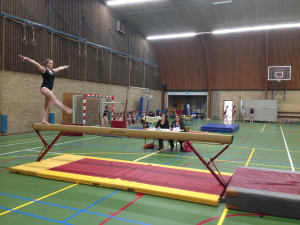 onderlinge wedstrijd 2016