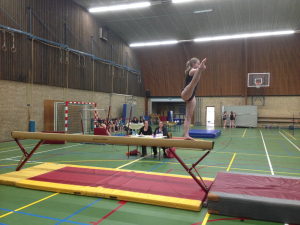 onderlinge wedstrijd 2016