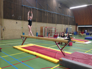 onderlinge wedstrijd 2016