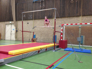 onderlinge wedstrijd 2016