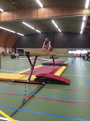 onderlinge wedstrijd 2016