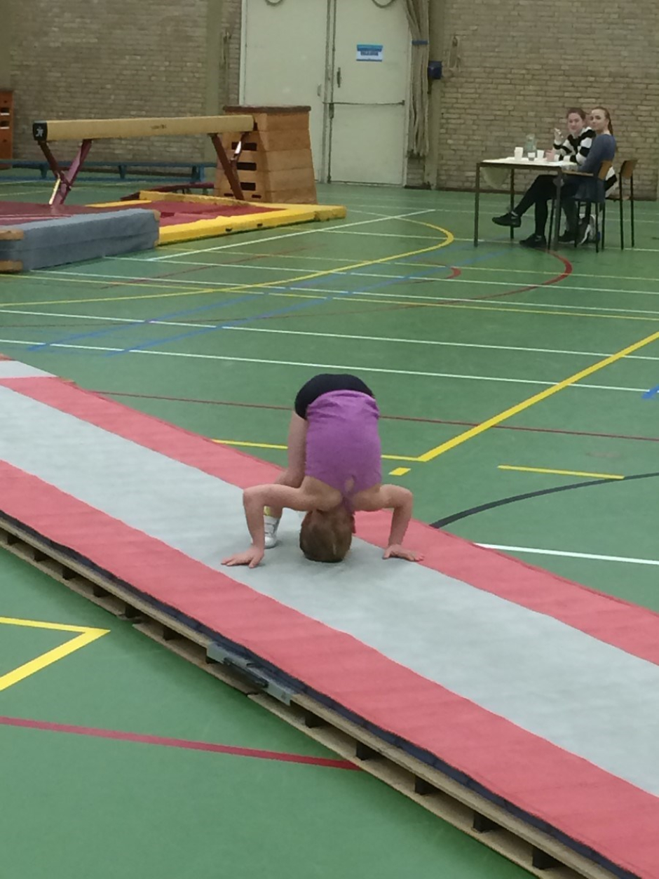 onderlinge wedstrijd 2016