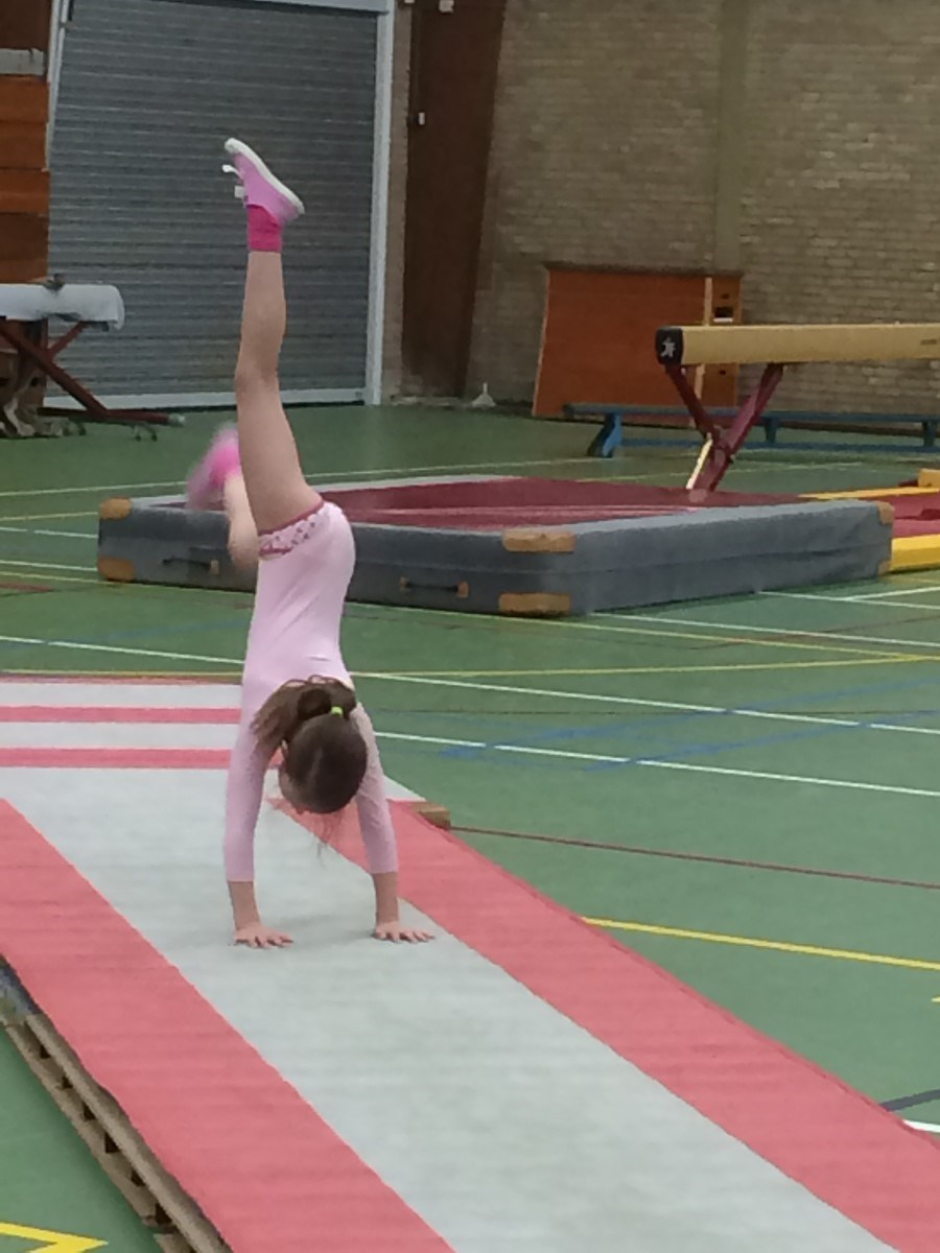 onderlinge wedstrijd 2016