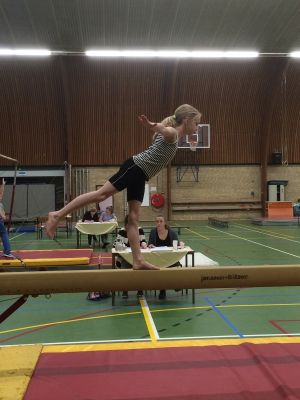 onderlinge wedstrijd 2016