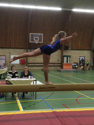 onderlinge wedstrijd 2016