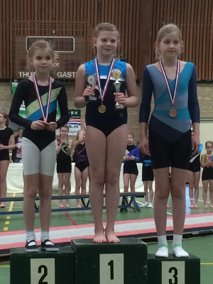 onderlinge wedstrijd 2016