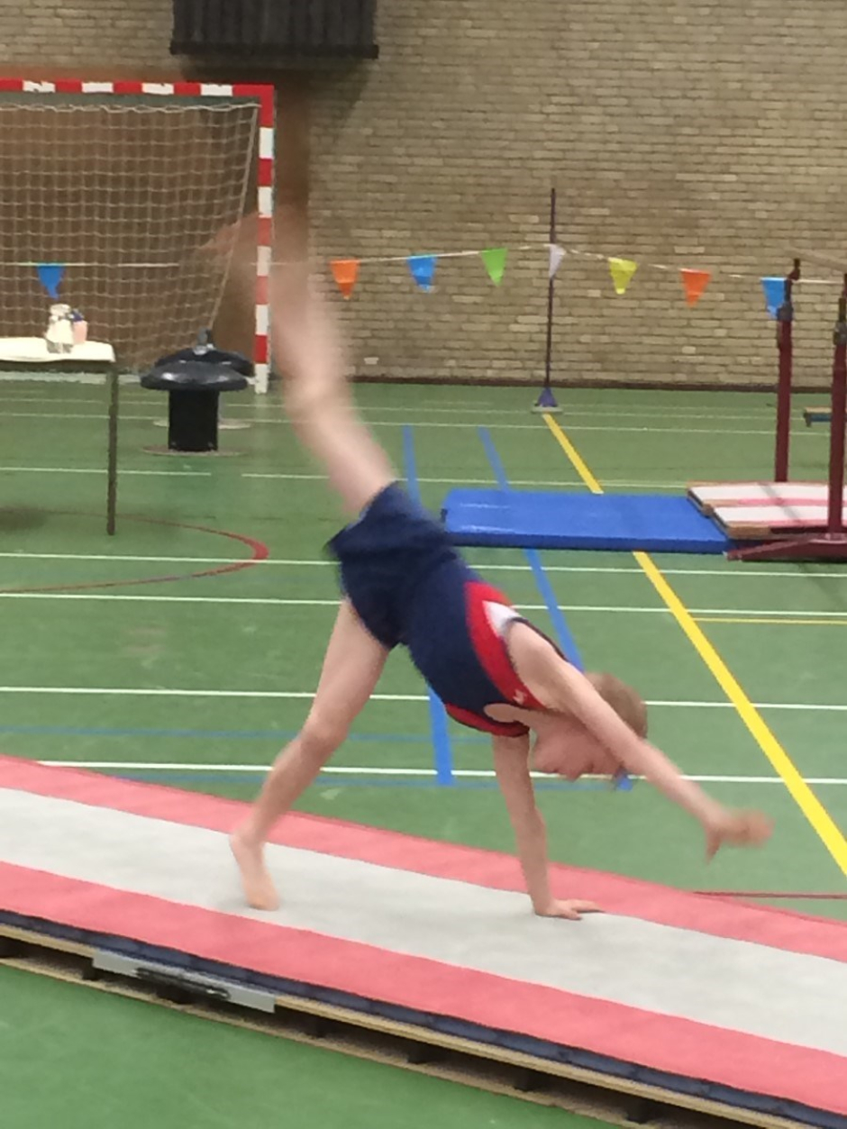 onderlinge wedstrijd 2016