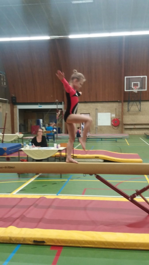 onderlinge wedstrijd 2016