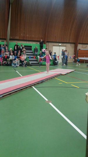 onderlinge wedstrijd 2016