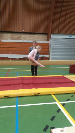 onderlinge wedstrijd 2016