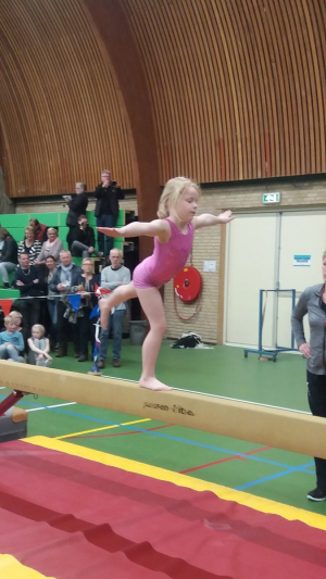 onderlinge wedstrijd 2016