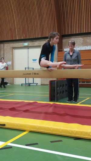 onderlinge wedstrijd 2016