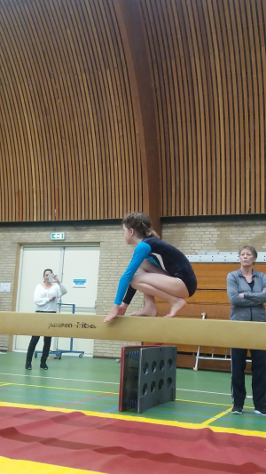 onderlinge wedstrijd 2016