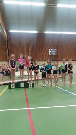 onderlinge wedstrijd 2016