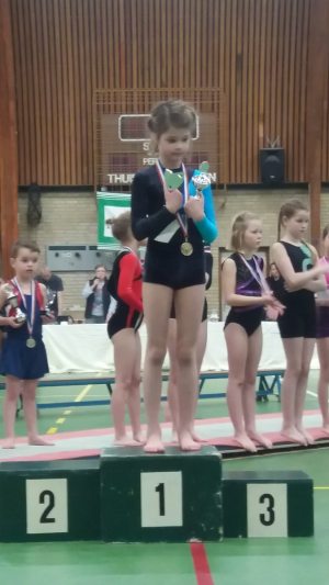 onderlinge wedstrijd 2016