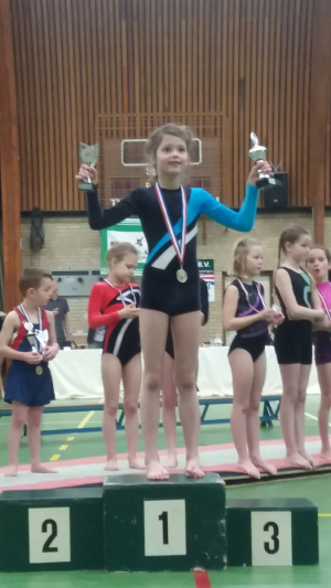 onderlinge wedstrijd 2016