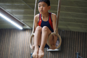 finale competitie 2017