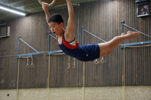 finale competitie 2017