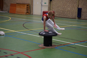 finale competitie 2017