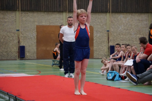 finale competitie 2017