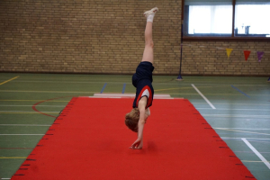 finale competitie 2017