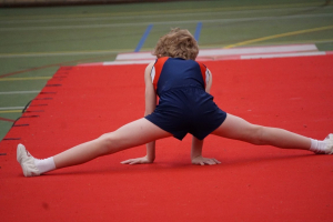 finale competitie 2017