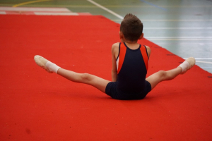 finale competitie 2017