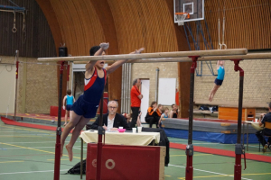 finale competitie 2017