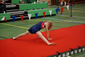 finale competitie 2017