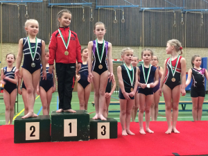 wedstrijd instap 2017