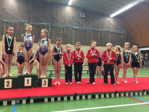 wedstrijd instap 2017