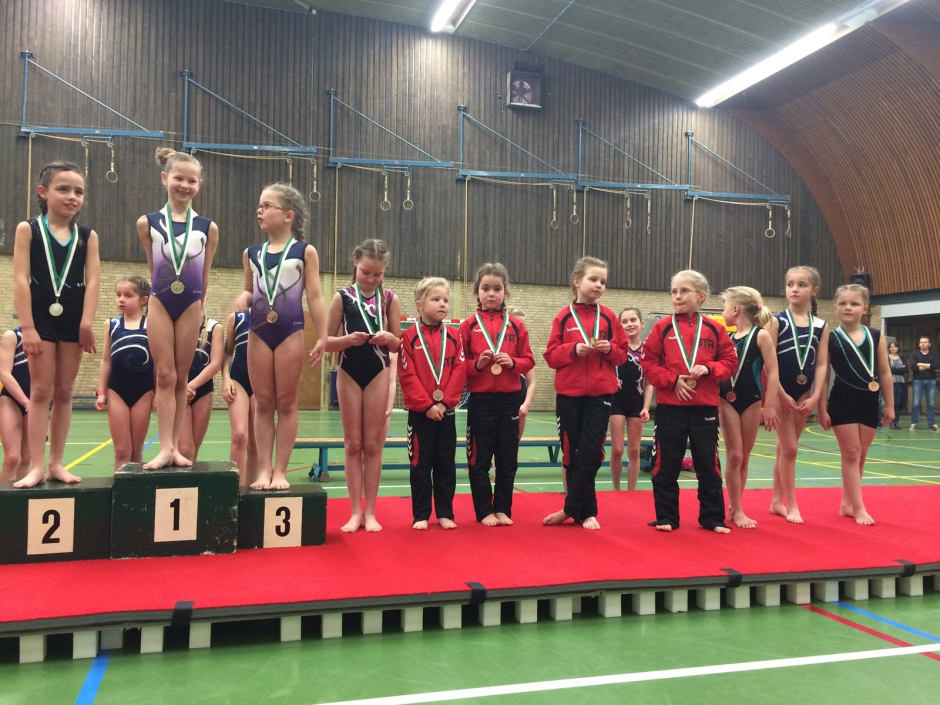 wedstrijd instap 2017