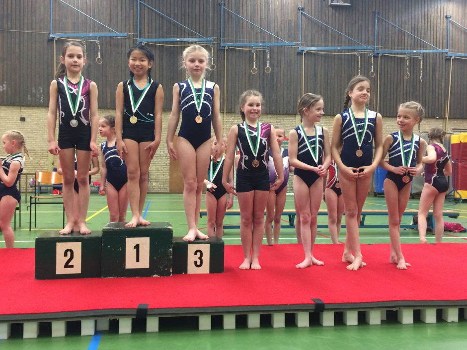 wedstrijd instap 2017