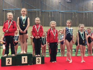 wedstrijd instap 2017