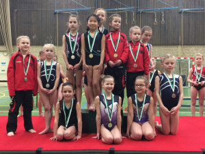 wedstrijd instap 2017