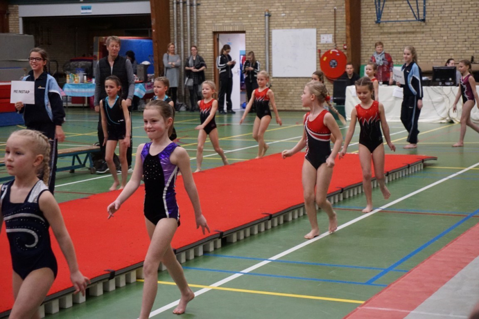 wedstrijd instap 2017