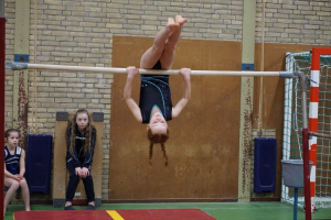 wedstrijd instap 2017