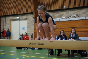 wedstrijd instap 2017