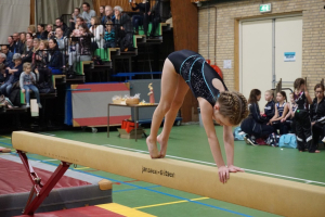 wedstrijd instap 2017