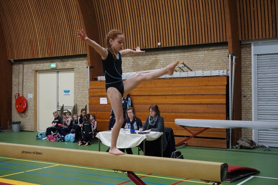 wedstrijd instap 2017