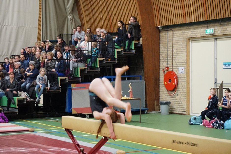 wedstrijd instap 2017