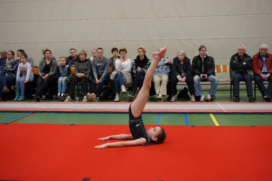 wedstrijd instap 2017