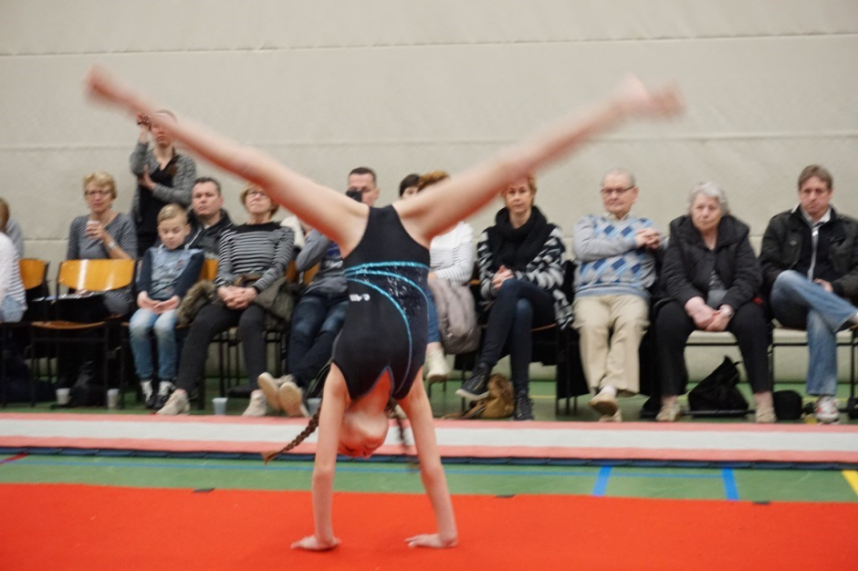 wedstrijd instap 2017