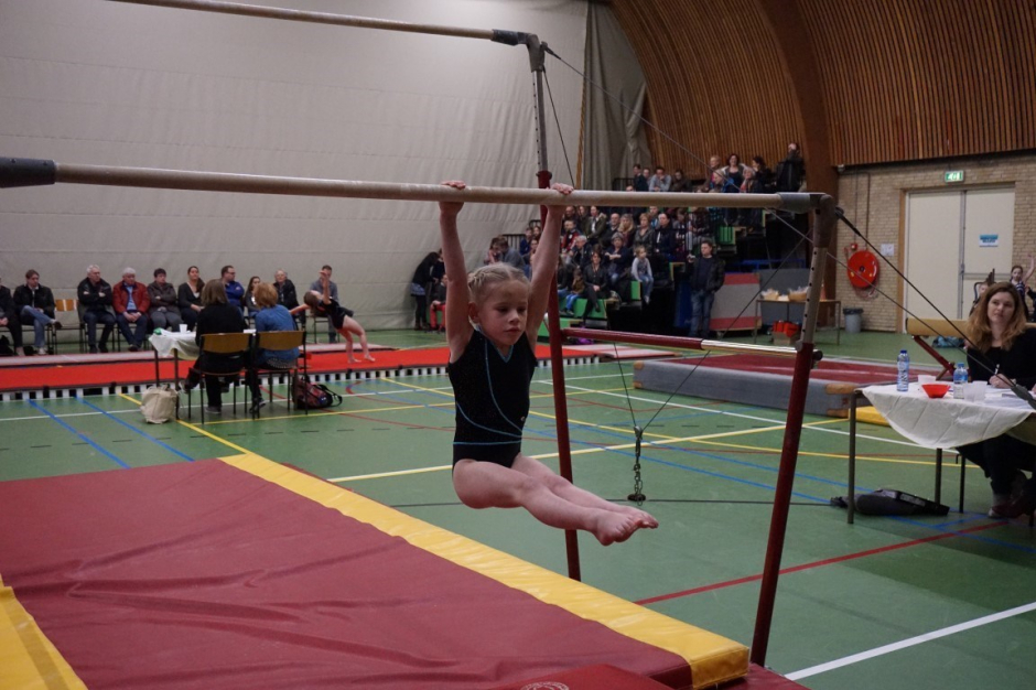 wedstrijd instap 2017