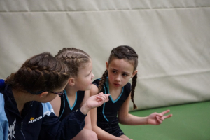 wedstrijd instap 2017