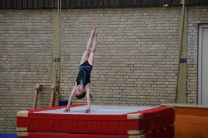 wedstrijd instap 2017