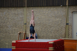 wedstrijd instap 2017